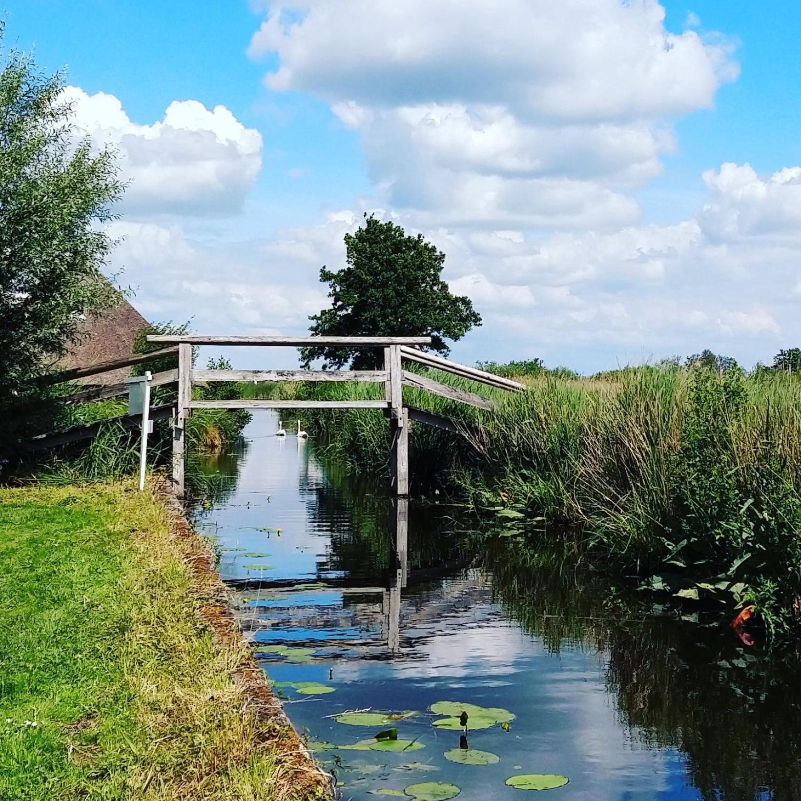 Het Waterhoentje Sint Jansklooster Exteriér fotografie